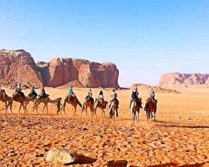 Joy Of Life - Wadi Rum Camp Exterior photo