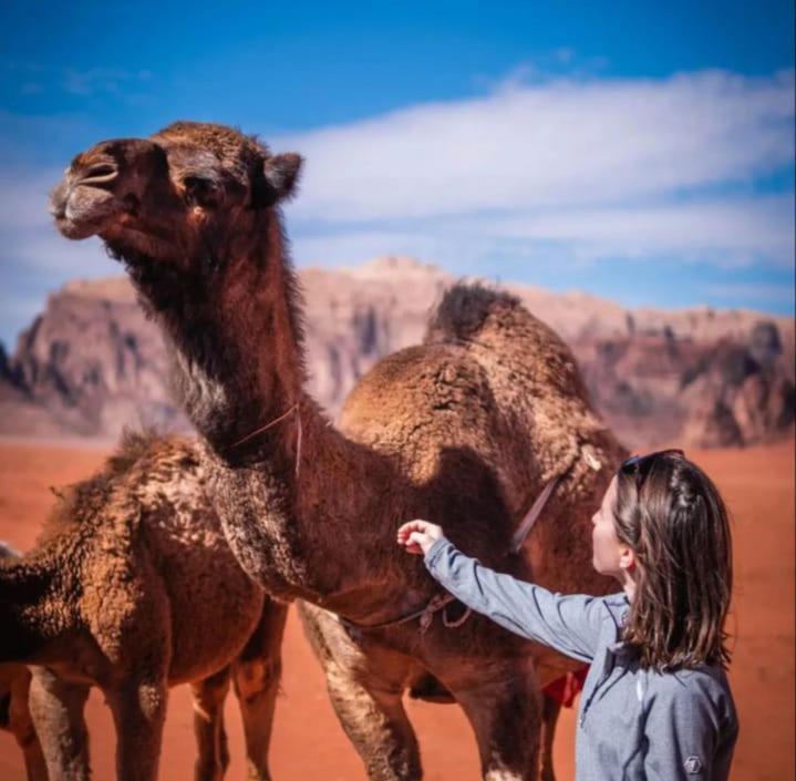 Joy Of Life - Wadi Rum Camp Exterior photo